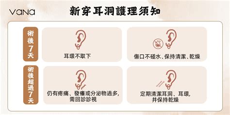 耳洞爛掉|超實用耳洞發炎處理手冊，小撇步教你遠離發炎的各種。